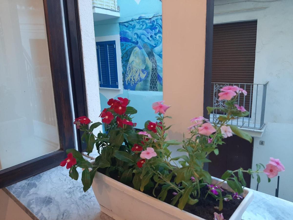 דיאמנטה La Vie En Rose - Casa Vacanze מראה חיצוני תמונה